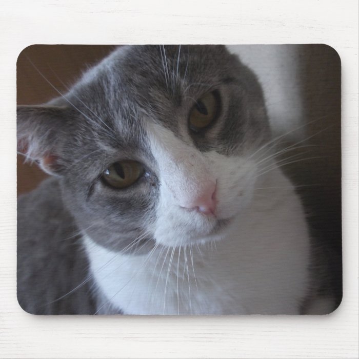 Gray and White Cat Mousepad