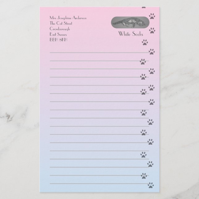 Gray and White Cat with Cat Footprints Stationery (Front)
