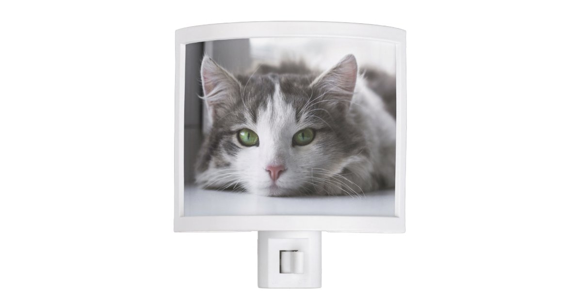 Gray And White Cat With Green Eyes Night Light Zazzle Com