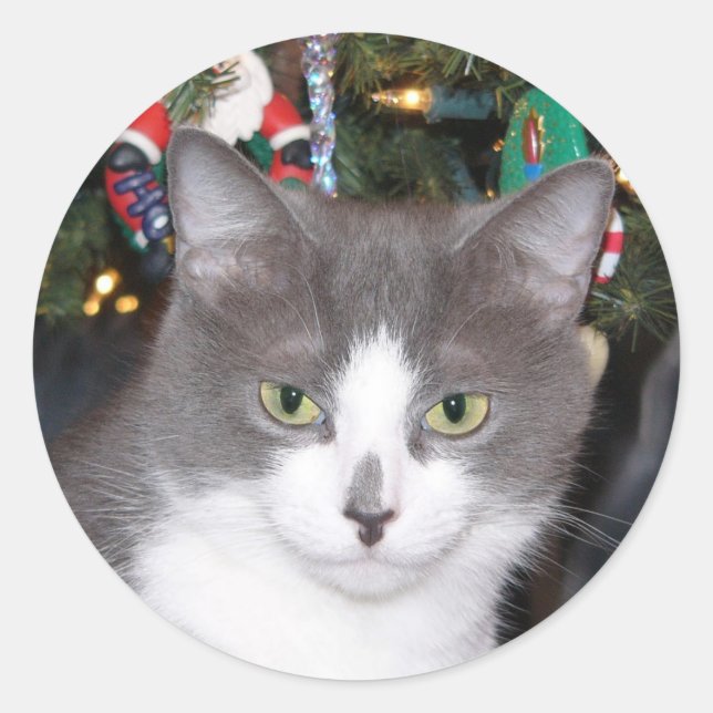Gray and white Christmas kitty Classic Round Sticker (Front)