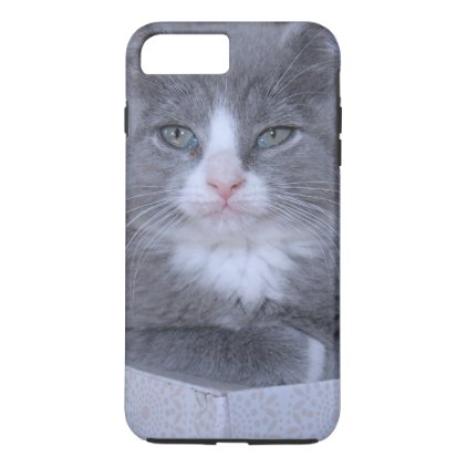 GRAY AND WHITE KITTEN IPHONE CASE