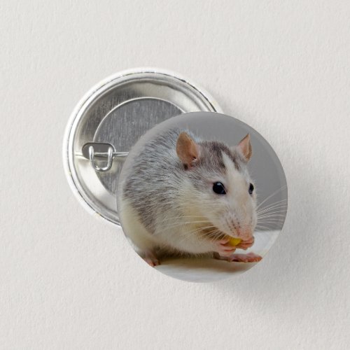 Gray and White Rat Button