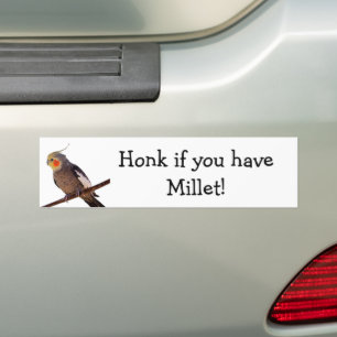 Gray and Yellow Cockatiel Pet Bird Color Photo Bumper Sticker