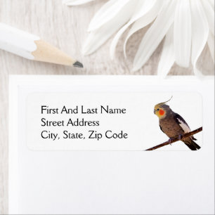 Gray and Yellow Cockatiel Pet Bird Color Photo Label