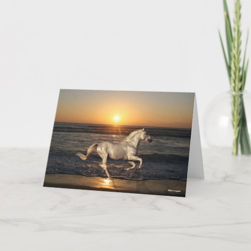 Gray Andalucian Running On Beach By Sea Card