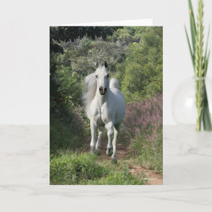 Gray Arab Running On Path With Flowers Card