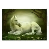 Gray Arabian Horse (Front Horizontal)