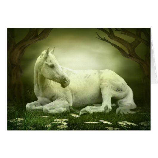 Gray Arabian Horse Cards (Front Horizontal)