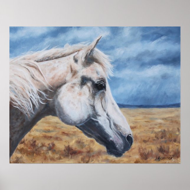 Gray Arabian Horse Fine Art Print (Front)