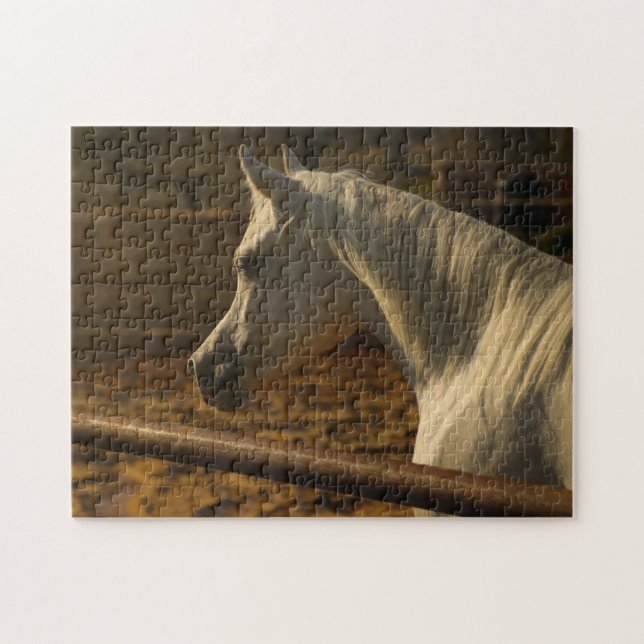 Gray Arabian Horse Jigsaw Puzzle (Horizontal)