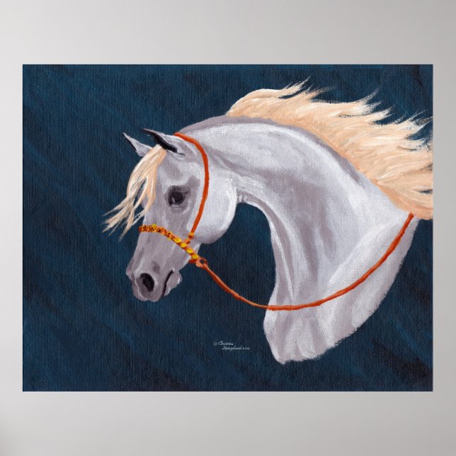 Gray Arabian Horse Portrait Poster (Front)