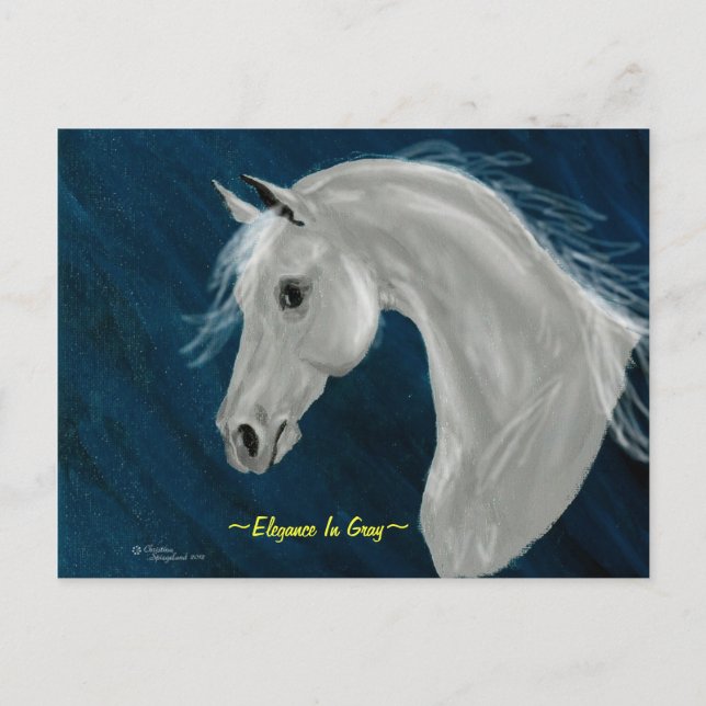 Gray Arabian Horse Postcard (Front)