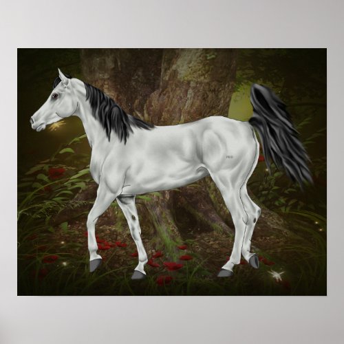 Gray Arabian Horse Poster