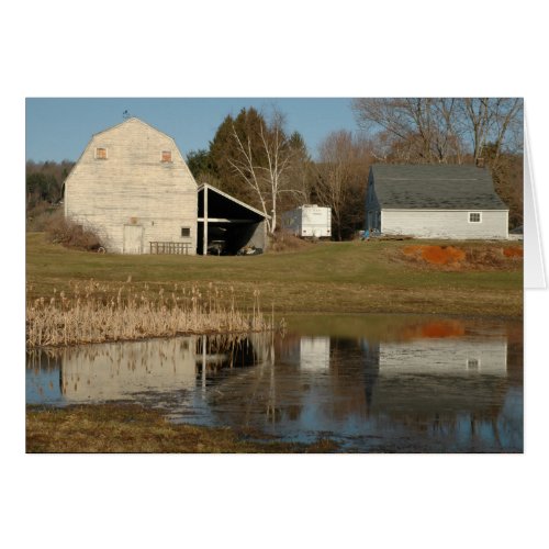 Gray Barn - Reflections of Serenity in Pond Card