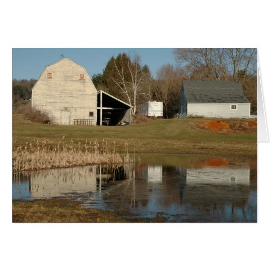 Gray Barn - Reflections of Serenity in Pond Card (Front Horizontal)