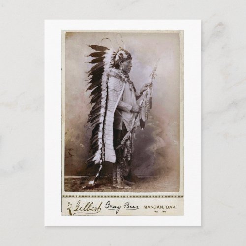 Gray Bear 1880 Postcard
