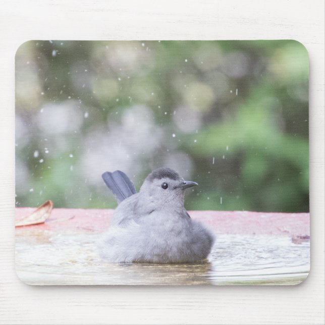 Gray bird at birdbath mouse pad (Front)