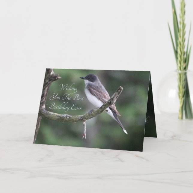 Gray Bird Photograph Card (Front)