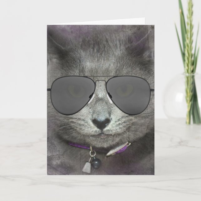 Gray Birthday Cat with Aviator Sunglasses  Card (Front)