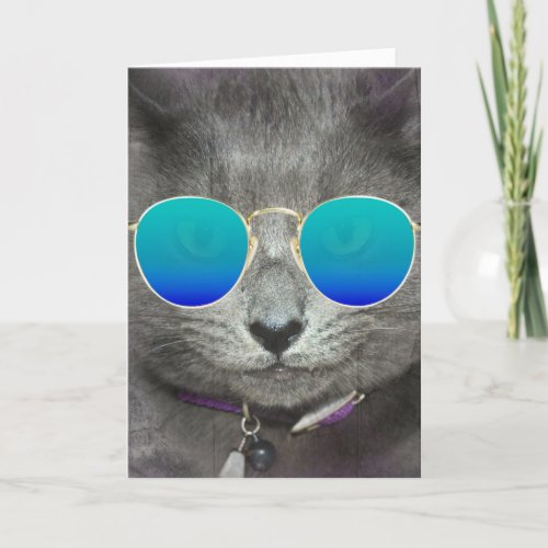 Gray Birthday Cat with Sunglasses Card