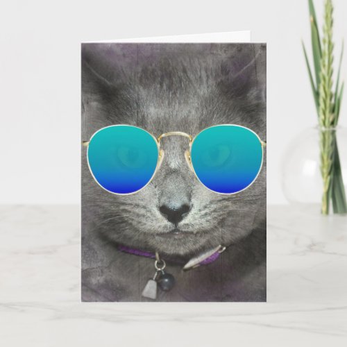 Gray Birthday Cat with Sunglasses  Card