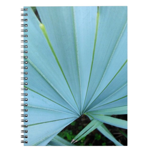Gray Bismarck Palm Tree Close Up Notebook (Front)