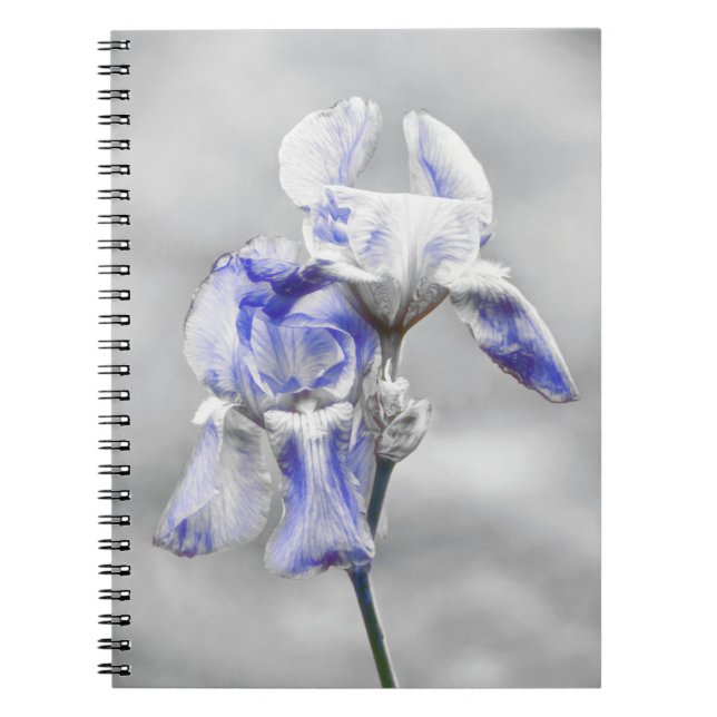 Gray Blue Iris Flower Art Journal Notebook (Front)