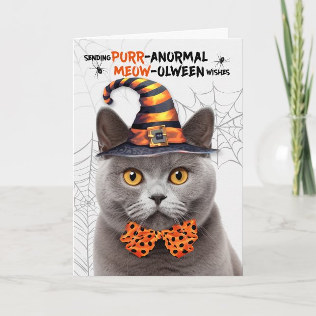Gray British Halloween Cat PURRanormal MEOWolween Holiday Card (Front)