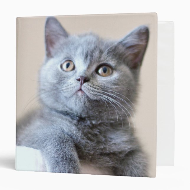 Gray British Shorthair Cat Binder (Front/Inside)