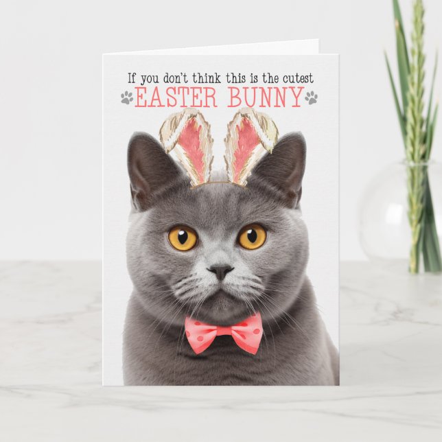 Gray British Shorthair Cat Bunny Ears for Easter Holiday Card (Front)