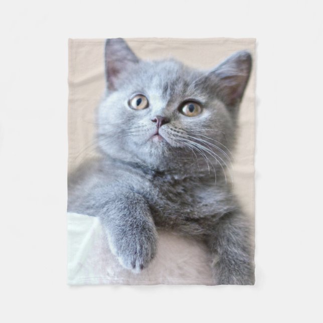 Gray British Shorthair Cat Fleece Blanket (Front)