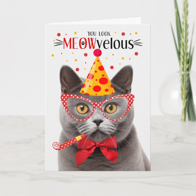 Gray British Shorthair Cat MEOWvelous Birthday Card (Front)