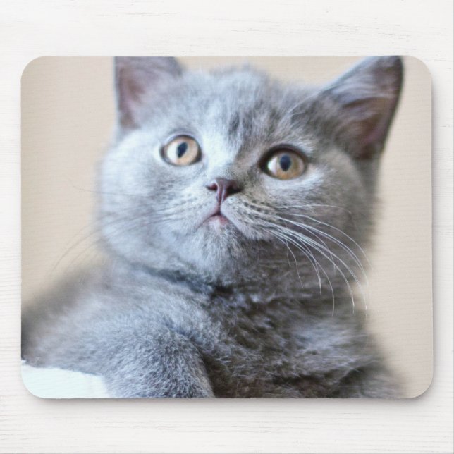 Gray British Shorthair Cat Mouse Pad (Front)