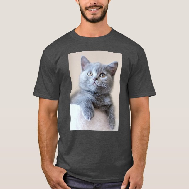 Gray British Shorthair Cat T-Shirt (Front)
