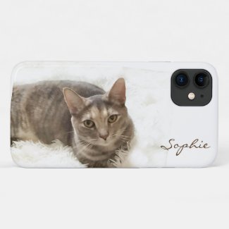 Gray Brown Tabby Cat iPhone 11 Case