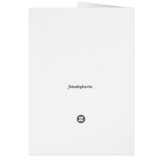 Gray card pink rose (Back)