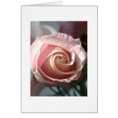 Gray card pink rose (Front)