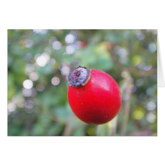 Gray card skirt, blank (Front Horizontal)