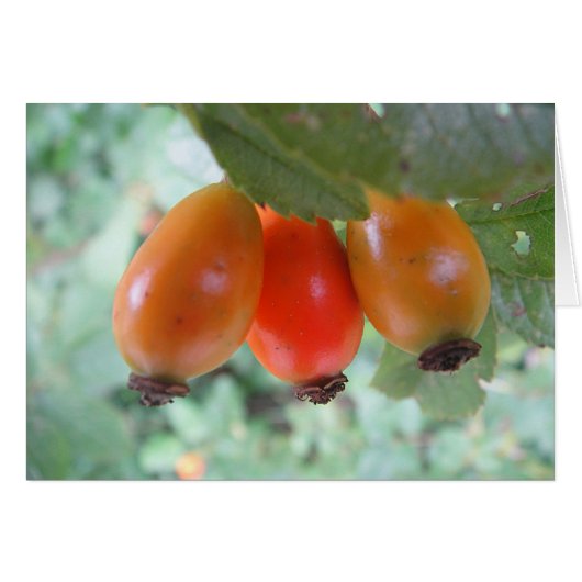 Gray card three skins, blank (Front Horizontal)