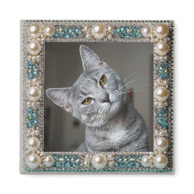 Gray Cat Animal Memory Anchor 