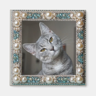 Gray Cat Animal Memory Anchor  Magnet
