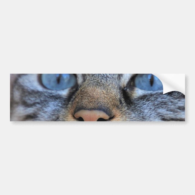 Gray Cat Bumper Sticker (Front)