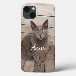 Gray Cat iPhone 13 Case