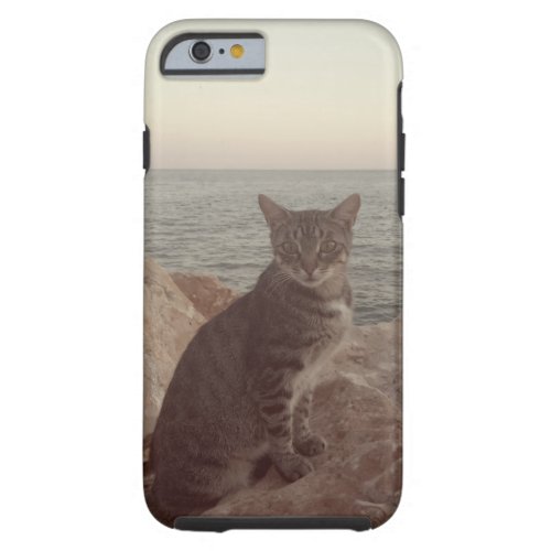 Gray Cat Cat Photo  iPhone 66s Tough Tough iPhone 6 Case