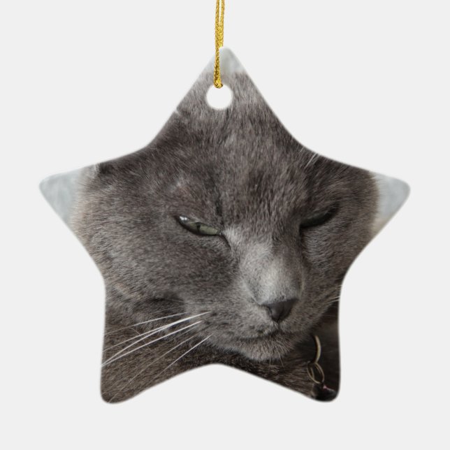 Gray cat ceramic ornament (Front)