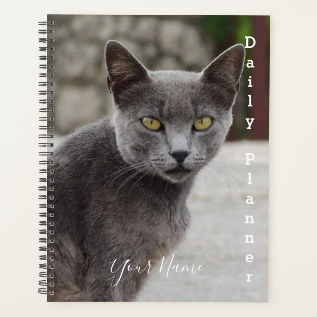 Gray Cat Chartreux - Daily Planner- HAMbWG Planner (Front)