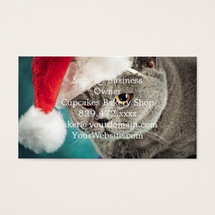 Gray cat christmas - Christmas cat -kitten cat Business Card