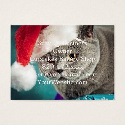 Gray cat christmas - Christmas cat -kitten cat Business Card