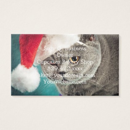 Gray cat christmas - Christmas cat -kitten cat Business Card