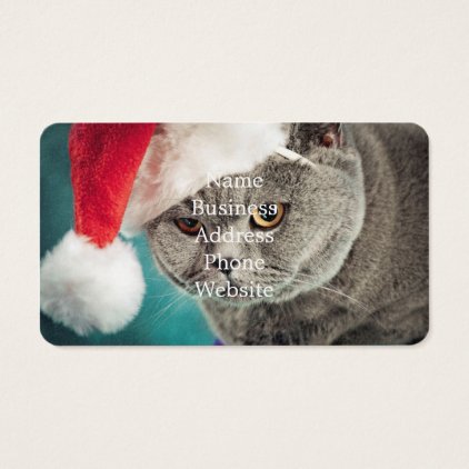 Gray cat christmas - Christmas cat -kitten cat Business Card